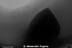 Bowesfield wreck sunk on 21.05.1892 near Torre Faro (ME) by Alessandro Pagano 